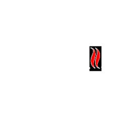 Star Grillz logo.